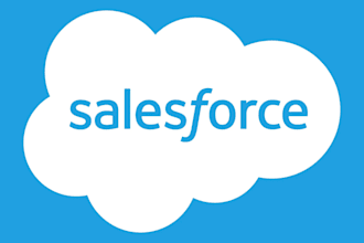 handle your salesforce support  and admin tasks
