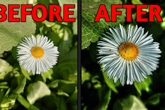 professional photo editing and image retouch