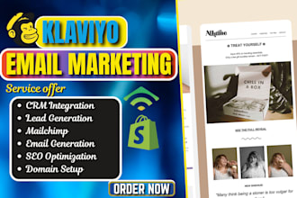set up and manage email marketing campaigns with klaviyo mailchimp