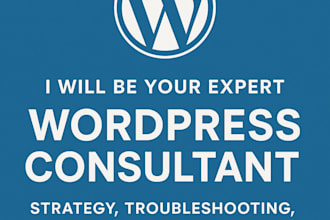 help you with your wordpress website