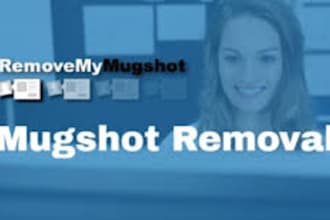 erase negative links,remove mugshots,news articles,court cases,blogs from google