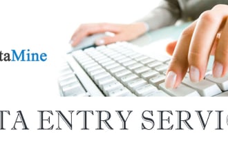 do work as data entry operator,data input job in excel