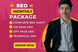 handle complete monthly SEO service for the best results on google