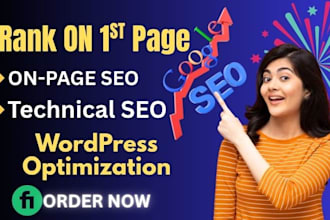 do powerful onpage SEO and technical optimization for wordpress