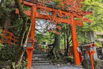 create a custom travel itinerary for your trip to japan