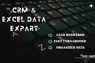 do CRM data entry and excel cleanup and b2b lead research