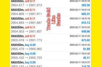 code a forex trading robot, trading bot, forex ea with low dd high profit