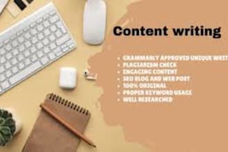 do blog writing or article writing as an SEO content writer