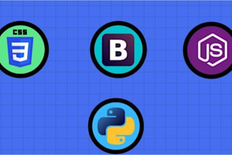 computer science, networking, and programming tasks