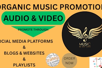do organic music promotion to real audiences on blogs playlists and social media