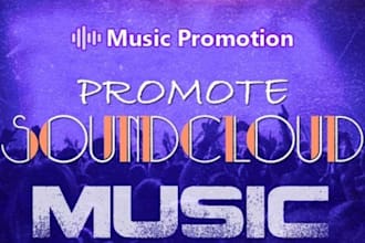 do professional soundcloud promotion for music track