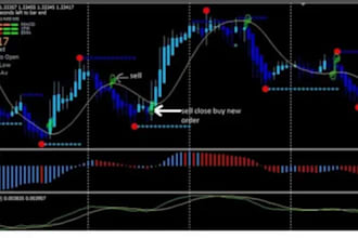 deliver you a profitable forex trading robot, gold ea, forex trading and,ea bot