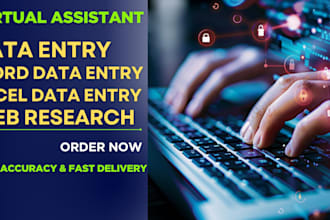 do data enrichment and excel data entry