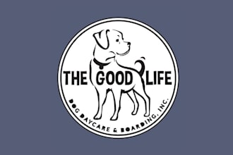 design eye catching unique dog daycare logo