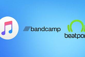 do beatport and bandcamp promotion to any music platform