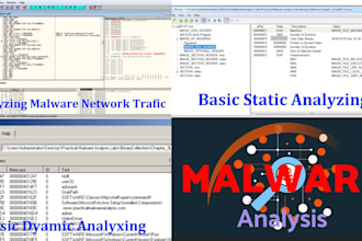 perform malware analysis, forensics, and detailed report