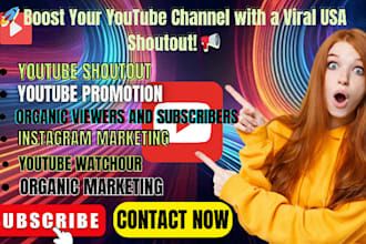 shoutout youtube channel to 5m usa, link share, twitter, fb, ig promotion
