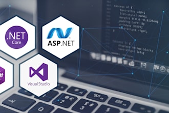 develop fix or customize your dot net core application and mvc projects