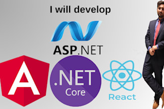 develop professional web applications in angular or react and aspdotnet core