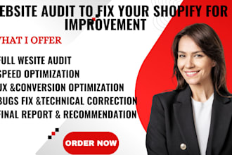 do website audit to fix shopify issues errors for dropshipping store improvement