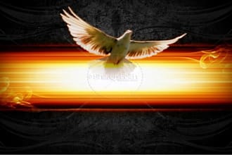 divine revelation ministry for you