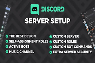 setup professional discord server for gaming, fivem, dayz, rust, crypto server