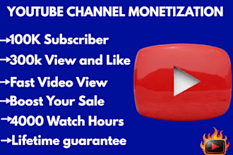youtube video promotion organic usa playlist channel monetization subscription