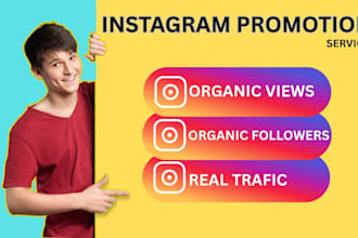 provide organic instagram views followers and traffic