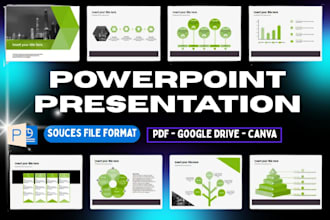 create professional powerpoint presentations for projects, assignments, group