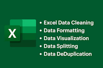 do excel data cleaning, formatting and visualization