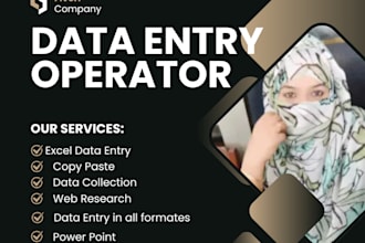 be your professional data entry operator