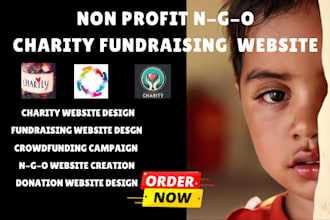 create crowdfunding campaign creation nonprofit ngo fundraising  charity website