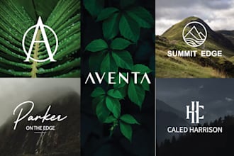 do custom minimalist company logo design and redesign