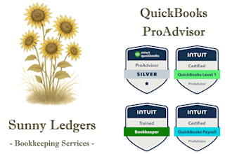 do quickbooks bookkeeping, setup, cleanup, financial reporting, and more