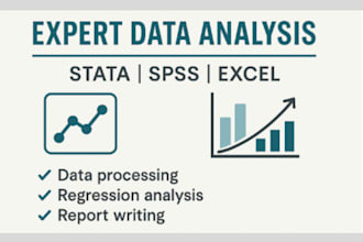 analyze your data using stata, spss, or excel and deliver expert reports