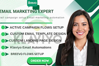 setup and design email newsletters in mailchimp, beehiiv, convertkit, amazon ses