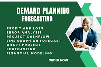 create excel demand planning and sales forecasting models data entry
