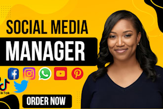 be social media manager facebook instagram linkedin tiktok personal assistant