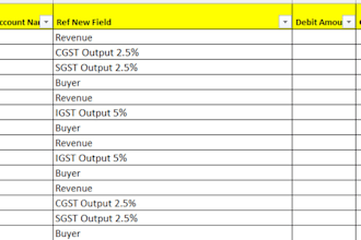 write vba codes, pivot tables and data cleaning