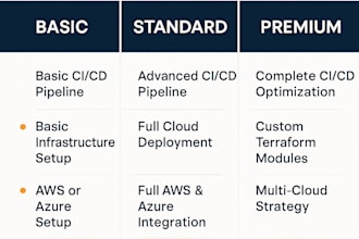 expert devops engineer AWS azure  cicd  terraform automation
