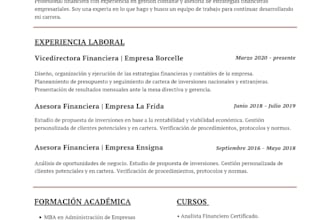 make a professional modern resume