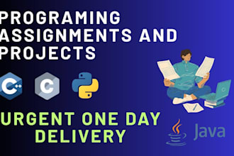 do your machine learning deep learning and ai assignments and projects