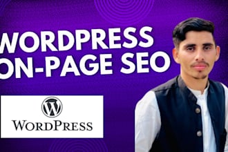wordpress on page SEO optimization and fix all onpage issues