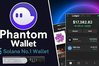 develop web3 dapp, gmx, rust, solana phantom wallet, wallet adapter on your web