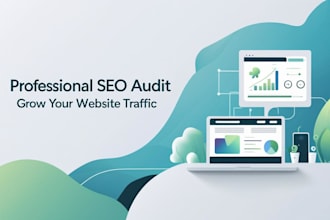 do a professional SEO audit and optimization plan