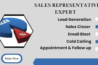 be your sales representative, b2b leads, data enrichment, sales closer