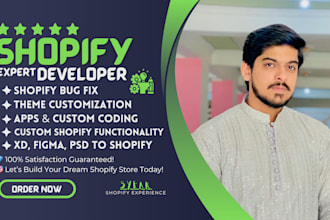 fix your shopify bugs, speed issues, and liquid code errors