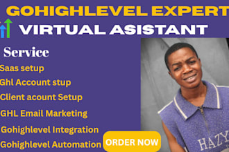 be your virtual assistant for your gohighlevel and pipeline pro project