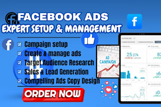 do best facebook ads campaign  target best audience for ads CPC ads sales copy