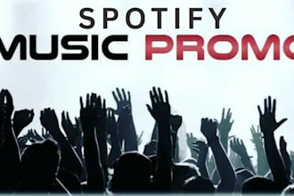 promote your music with eye catching spotify ads that drive streams